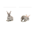 Modelo - díptico - Conejos