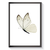 Modelo - Mariposa Blanca