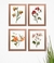 Quadros Decorativos Rose Gold Flores Kit c 4 c Vidro