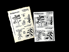 Vintage Botanical Foam Stamps Cora Crea Crafts