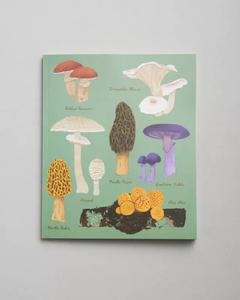 Cuadernos Ediciones de la Montaña tapa blanda  20 x 25 cm