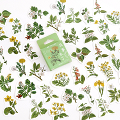 Stickers Cajita Forest Flores Silvestres (E027) - comprar online