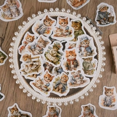 Stickers Cajita Gatito Vintage (826)