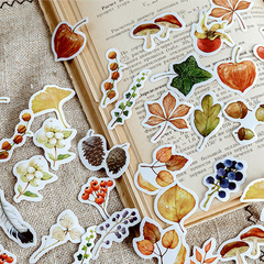 Stickers Cajita Otoño (F072) - comprar online