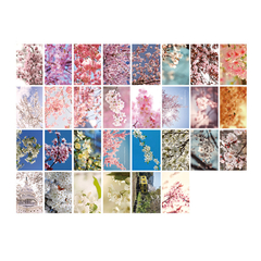 Stickers Cajita Rectangular Cherry Blossoms