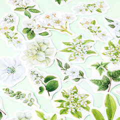 Stickers Cajita flores blancas y hojas