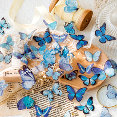 Pack de 40 Butterfly Nature Series PET Stickers