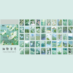 Mini block sticker papel washi x 50 hojas Wenshu Acqua