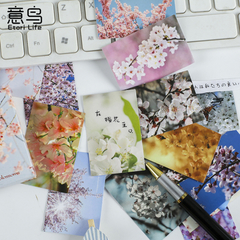 Stickers Cajita Rectangular Cherry Blossoms