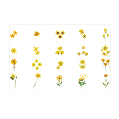 Pack de 40 Retro Dried Flower PET stickers