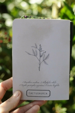 Cuaderno Libreta A5 Cactusauria (grande) SERIE B