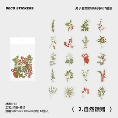 Pack de 40 stickers Poems for Nature - Casa Washi
