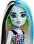 BONECA MONSTER HIGH BÁSICA FRANKIE - MATTEL na internet