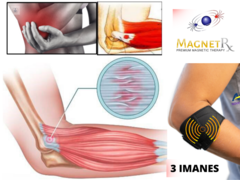 Cincha Para Codo Codera Epicondilits Termica Agnovedades