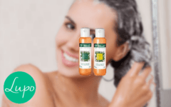 Biferdil champu / balsam con aceite de moringa y keratina - 200 / 400ml - comprar online