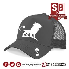 Imagen de GORRAS LEÓN y LEONA