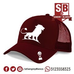 GORRAS LEÓN y LEONA en internet