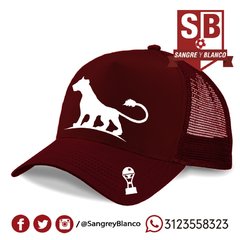 GORRAS LEÓN y LEONA en internet