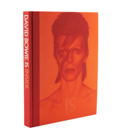 DAVID BOWIE IS: V&A MUSEM
