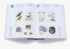 Imagen de NATURE'S PALETTE -A Colour Reference System from the Natural World