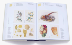 NATURE'S PALETTE -A Colour Reference System from the Natural World