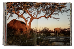 Safari Style: Exceptional African Camps and Lodges - comprar online