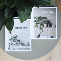 Plant Style en internet