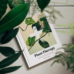 PLANT THERAPY, How an Indoor Green Oasis Can Improve Your Mental and Emotional Wellbeing - comprar online