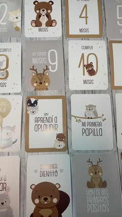 Baby Cards Amigos del bosque - comprar online