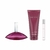 SET EUPHORIA EDP 100 ML + EDP 10 ML + BODY 200 ML - comprar online