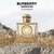 BURBERRY GODDESS EDP - tienda online