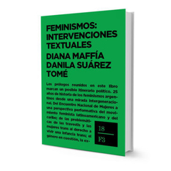 FEMINISMOS INTERVENCIONES TEXTUALES - MAFFIA DIANA SUAREZ TOME D