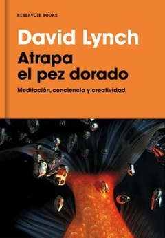 ATRAPA AL PEZ DORADO ED 2021 MEDITACION CONCIENCIA - LYNCH DAVID