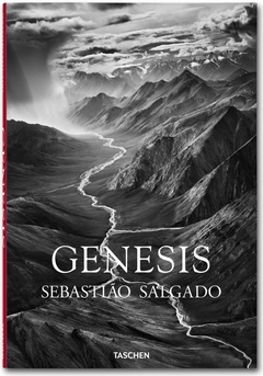 GENESIS ED 2013 - SALGADO SEBASTIAO