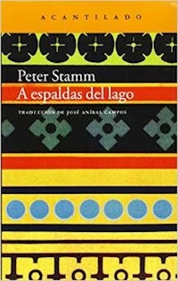 A ESPALDAS DEL LAGO - PETER STAMM