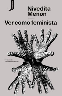 VER COMO FEMINISTA - MENON NIVEDITA