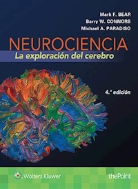 NEUROCIENCIA EXPLORACION DEL CEREBRO 4 EDIC - BEAR M CONNORS B