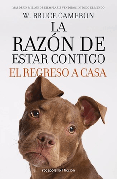 RAZON DE ESTAR CONTIGO LA REGRESO A CASA EL - CAMERON BRUCE