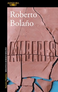 AMBERES ED 2018 - BOLAÑO ROBERTO