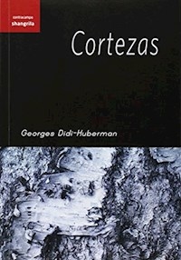 CORTEZAS ED 2014 - DIDI HUBERMAN GEORGE