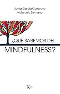 QUE SABEMOS DEL MINDFULNESS - GARCIA CAMPAYO JAVIER / DEMARZ