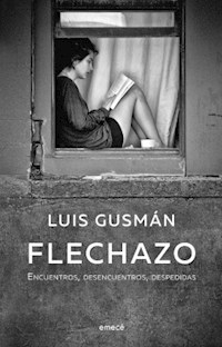 FLECHAZO ENCUENTROS DESENCUENTROS DESPEDIDAS - GUSMAN LUIS