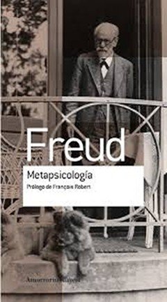 METAPSICOLOGÍA - FREUD SIGMUND