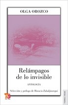 RELAMPAGOS DE LO INVISIBLE ANTOLOGIA - OROZCO OLGA