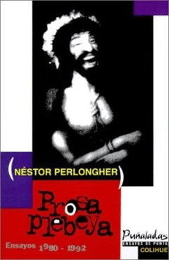 PROSA PLEBEYA ENSAYOS 1980 1992 - PERLONGUER NESTOR