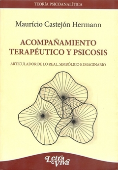 ACOMPAÑAMIENTO TERAPEUTICO Y PSICOSIS - CASTEJON HERMANN M