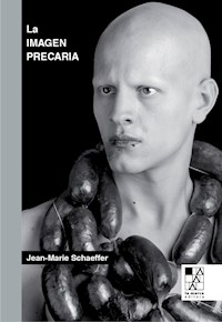 IMAGEN PRECARIA - SCHAEFFER JEAN MARIE