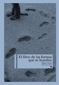 EL LIBRO DE LAS FORMAS - ORTIZ MARIO