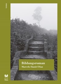 BILDUNGSROMAN - DIAZ MARCELO DANIEL
