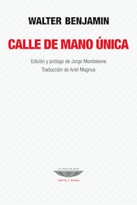 CALLE DE MANO UNICA ED 2014 - BENJAMIN WALTER